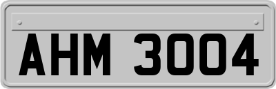 AHM3004