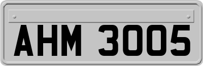 AHM3005