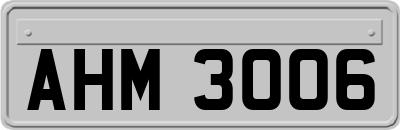 AHM3006