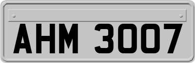 AHM3007