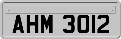 AHM3012