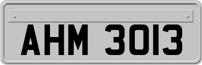 AHM3013