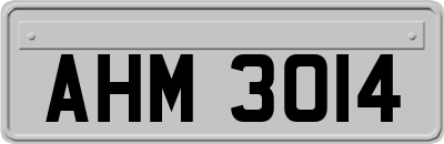AHM3014