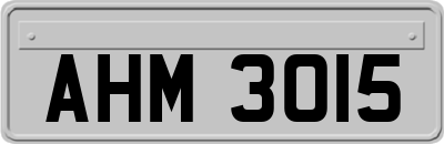 AHM3015