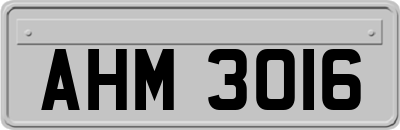 AHM3016
