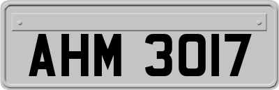 AHM3017