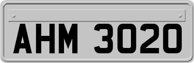 AHM3020