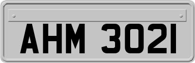AHM3021