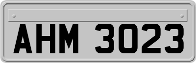 AHM3023