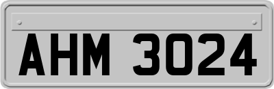 AHM3024