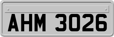 AHM3026