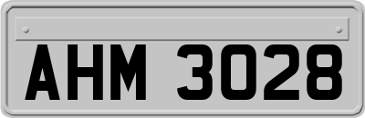 AHM3028