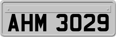 AHM3029