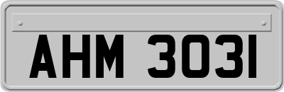 AHM3031