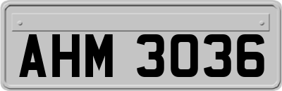AHM3036