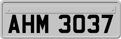 AHM3037