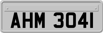 AHM3041
