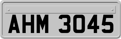 AHM3045