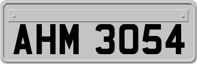 AHM3054