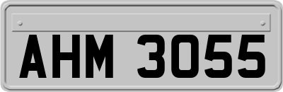 AHM3055