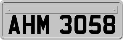 AHM3058