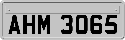 AHM3065