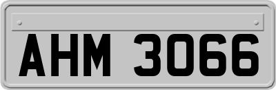 AHM3066