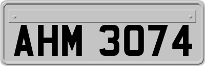 AHM3074