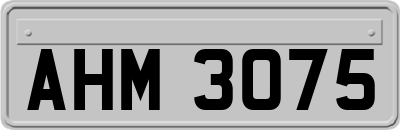 AHM3075