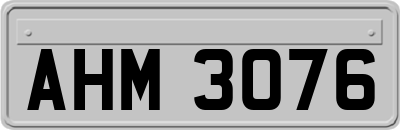 AHM3076