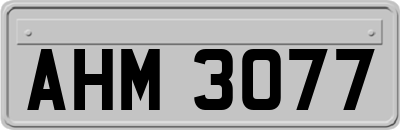 AHM3077
