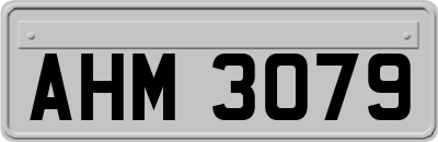 AHM3079