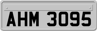 AHM3095