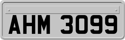 AHM3099