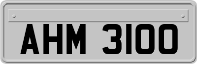 AHM3100