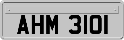 AHM3101