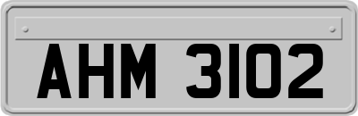 AHM3102