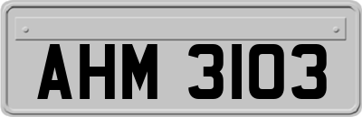 AHM3103