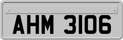 AHM3106