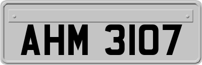 AHM3107