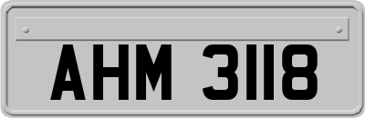 AHM3118