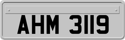 AHM3119