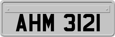 AHM3121
