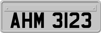 AHM3123