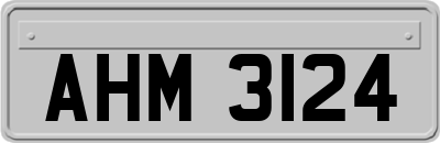 AHM3124