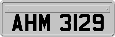 AHM3129