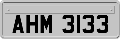 AHM3133