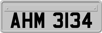 AHM3134