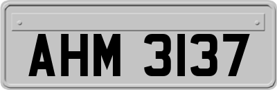 AHM3137
