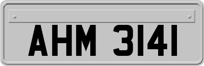 AHM3141